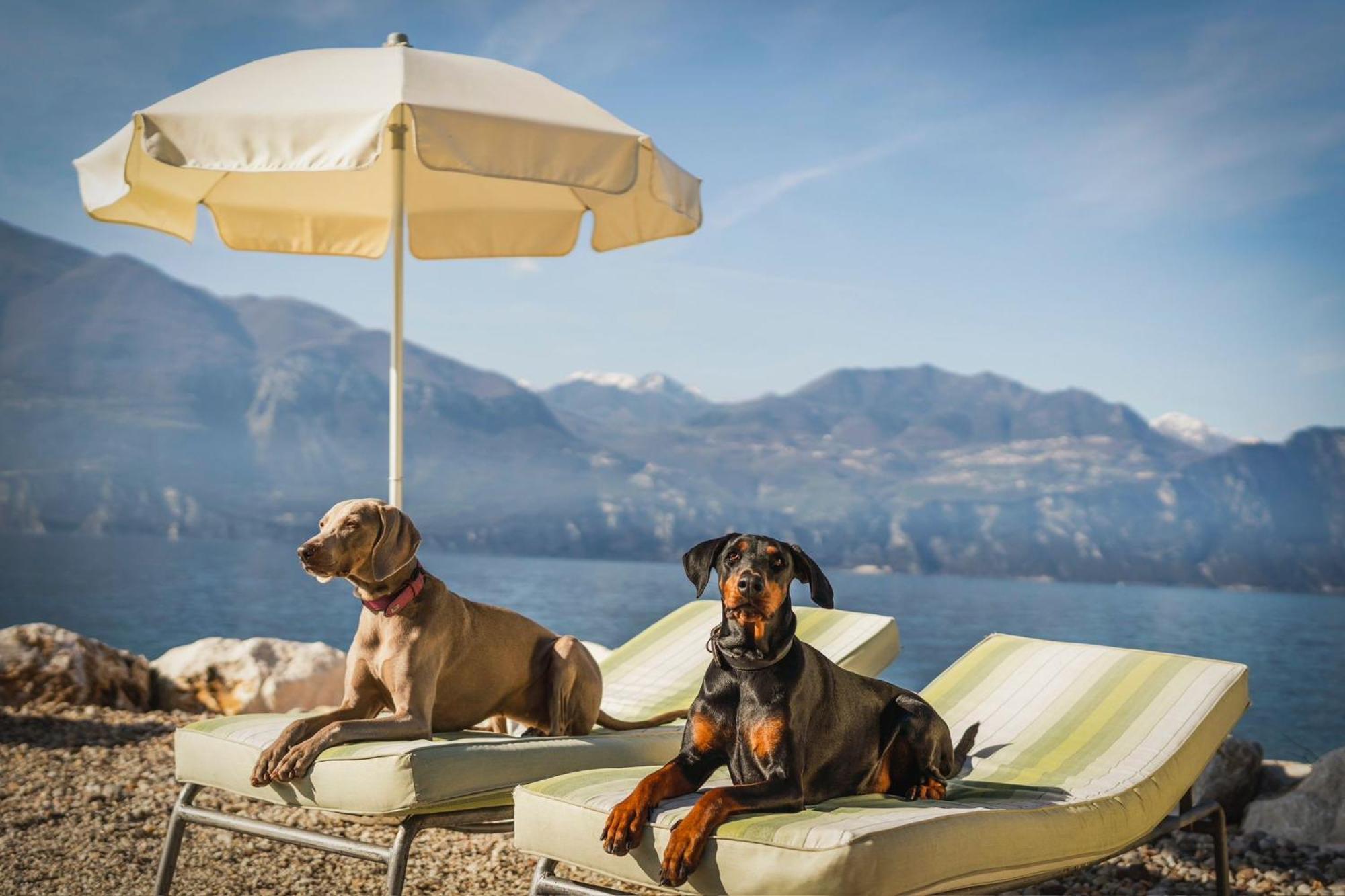 Casa Vacanze Monte Galetto Bussolengo Bagian luar foto