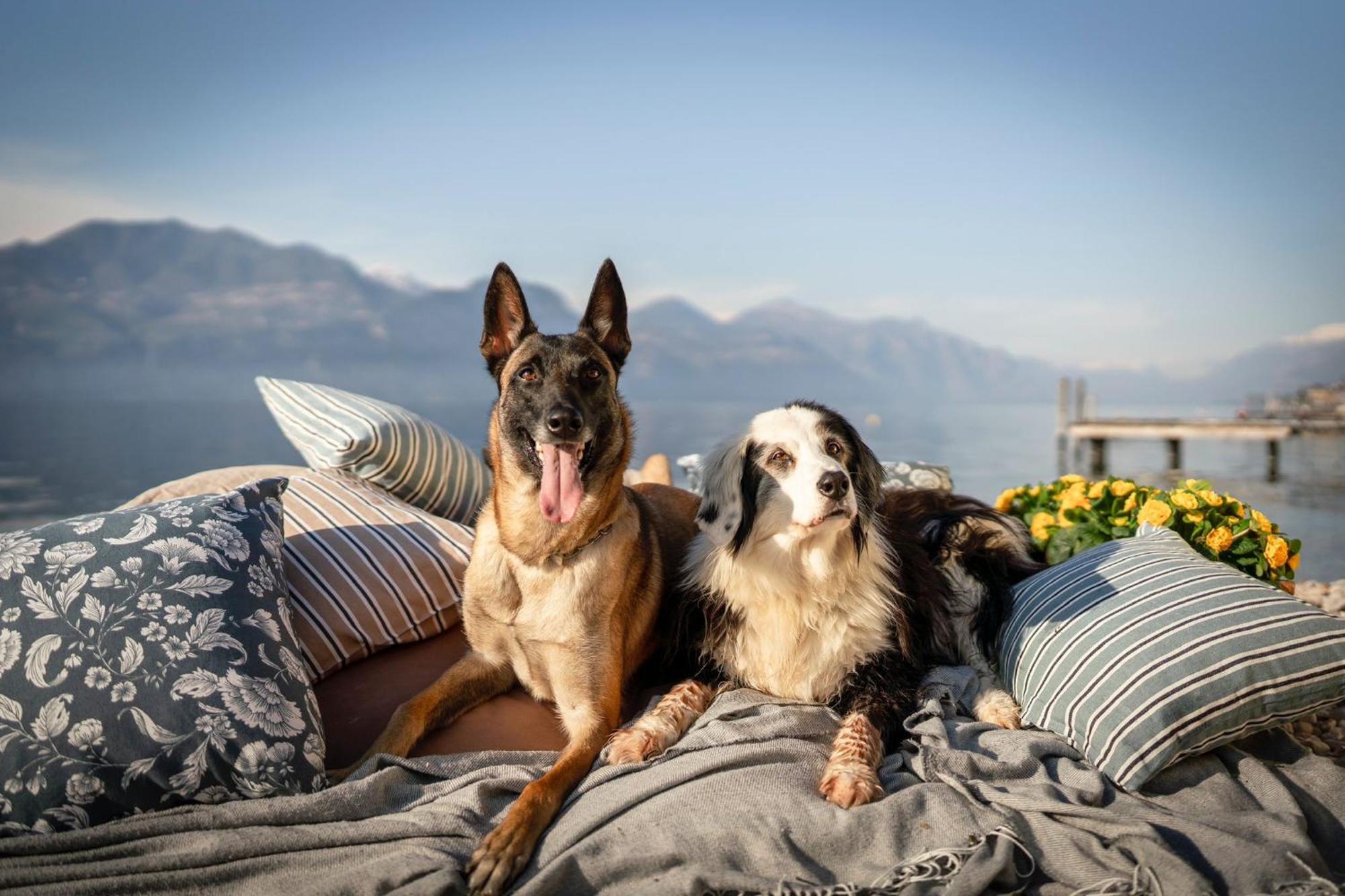 Casa Vacanze Monte Galetto Bussolengo Bagian luar foto